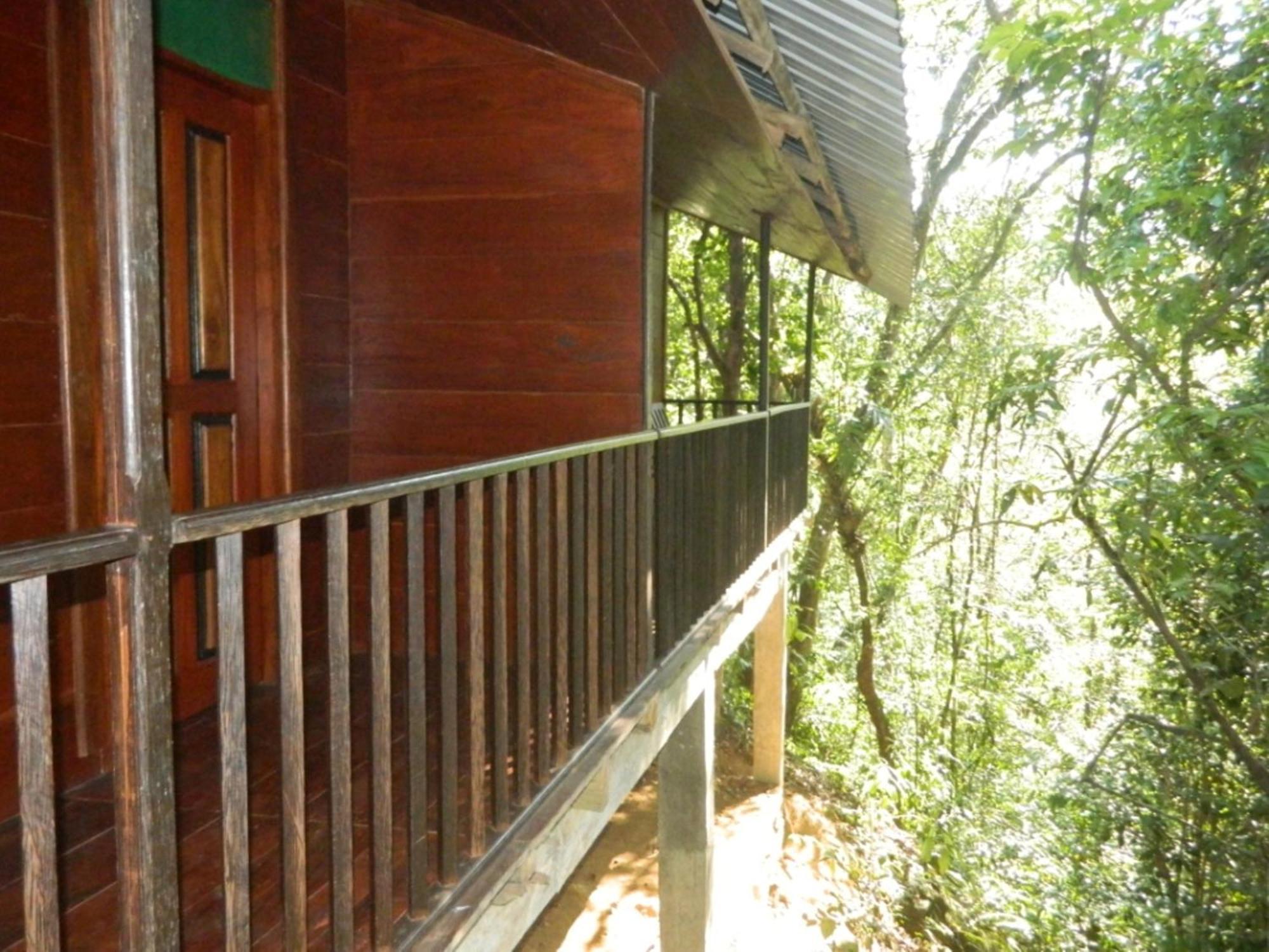 Birds Paradise Hotel Kudawe Phòng bức ảnh