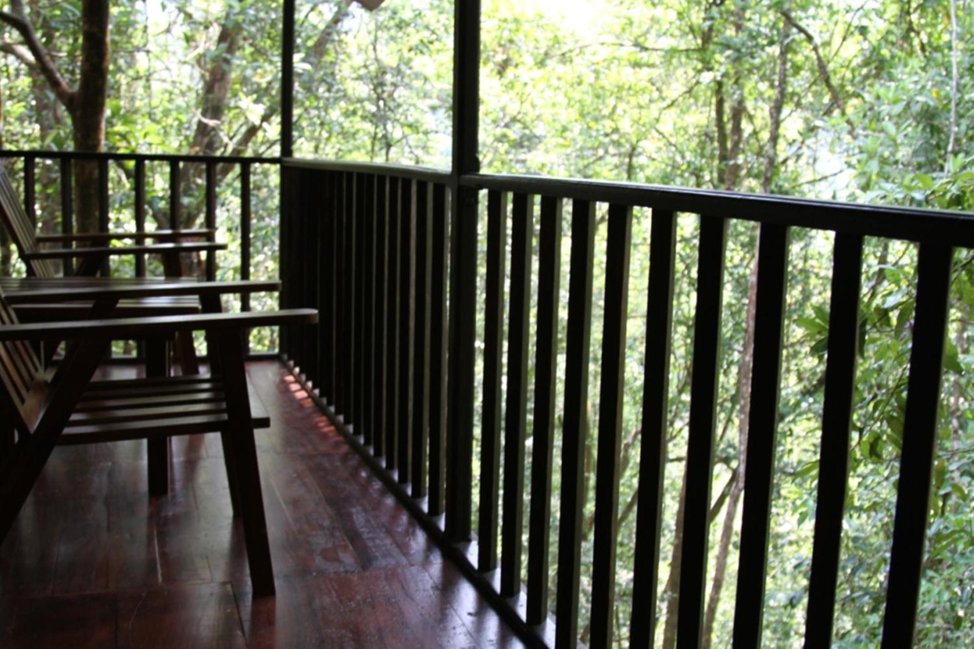 Birds Paradise Hotel Kudawe Phòng bức ảnh