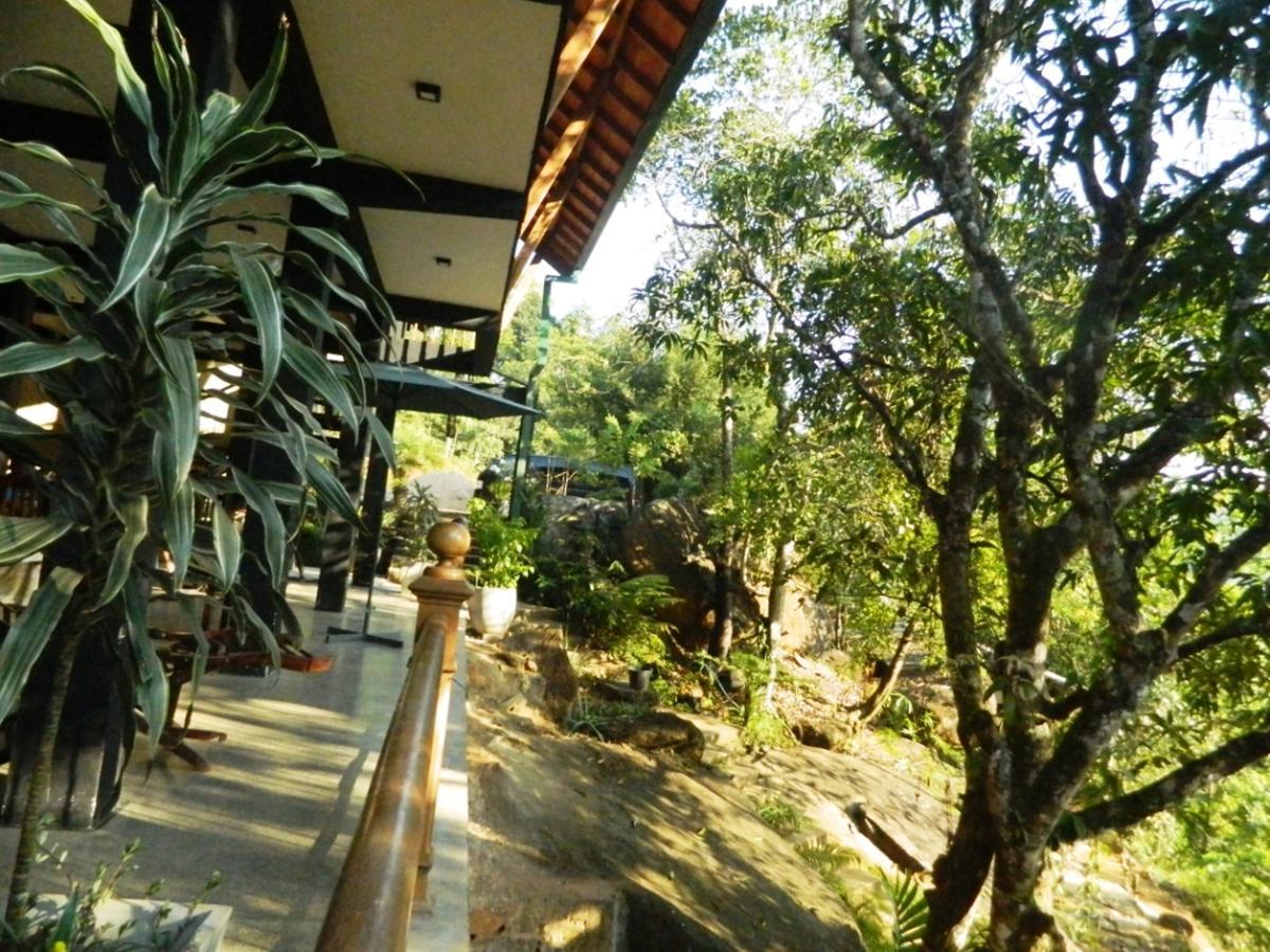 Birds Paradise Hotel Kudawe Ngoại thất bức ảnh