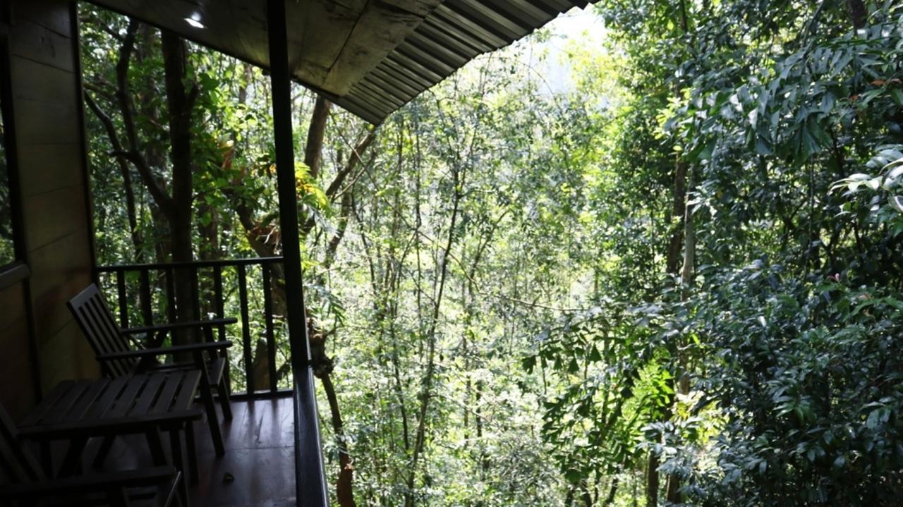 Birds Paradise Hotel Kudawe Ngoại thất bức ảnh