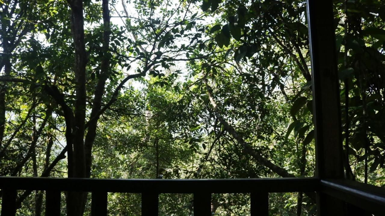 Birds Paradise Hotel Kudawe Ngoại thất bức ảnh